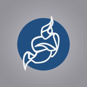 Videokonferenztool "Jitsi"